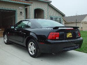 Mustang2 015.jpg